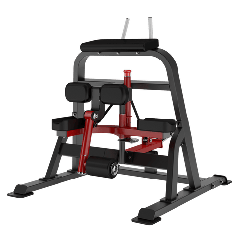 INSIGHT Standing Leg Curl DH018