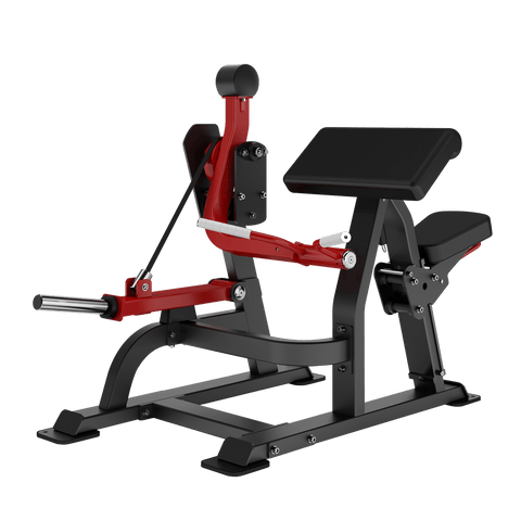 INSIGHT Biceps Curl DH021