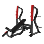 INSIGHT Incline Bench Press DH027