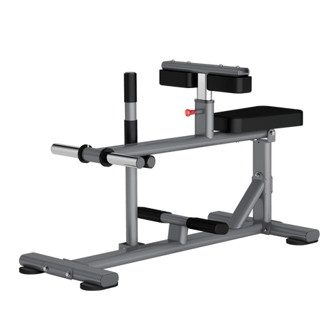 INSIGHT Seated Calf Raise DR011