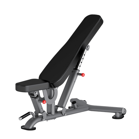 INSIGHT Adjustable Bench DR016