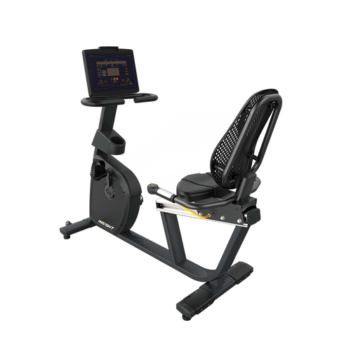 INSIGHT Recumbent Bike RR5