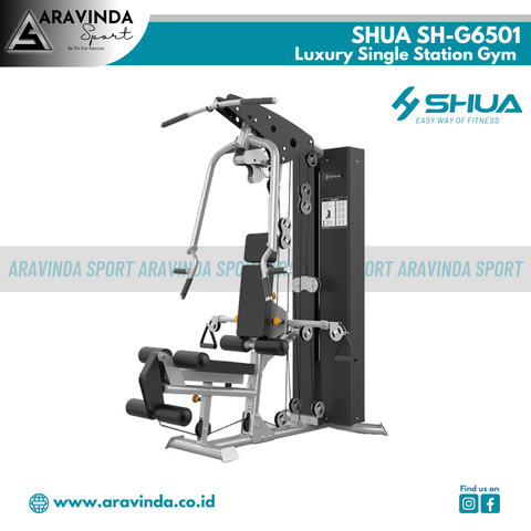 SHUA Luxury Single Station Gym SH-G6501