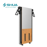 SHUA Wall Mounted Trainer SH-G699S