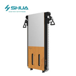 SHUA Wall Mounted Trainer SH-G699S